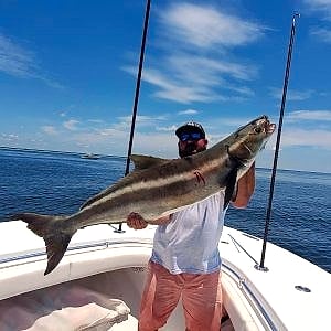 Cobia hauled aboard