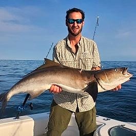 Cobia on deck