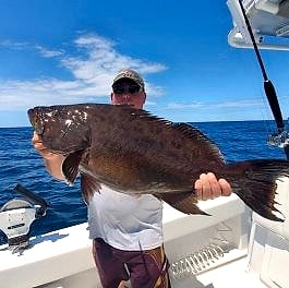 Trophy grouper