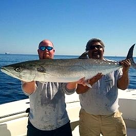 King mackerel